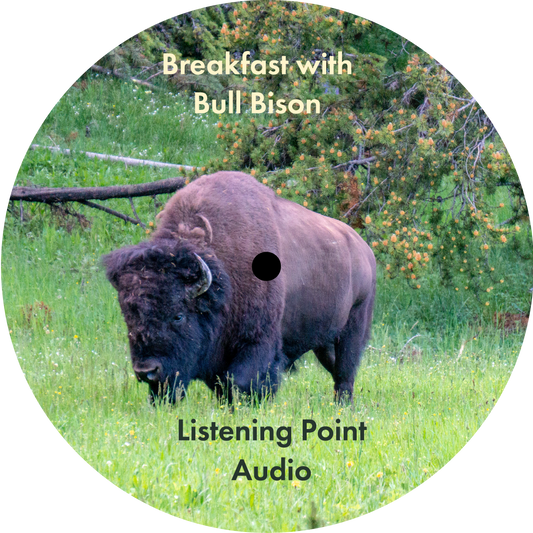 Breakfast with a Bull Bison