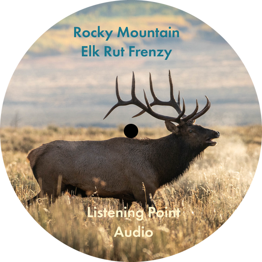 Rocky Mountain Elk Rut Frenzy